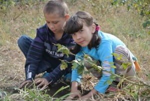 260 internally displaced people with special needs from Donbas stay in Odesa
