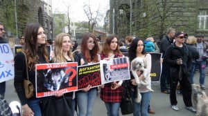 Зоозащитники Киева протестуют против жестких убийств животных. Власть молчит