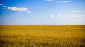 W Sloviansku, Kramatorsku i Artemivsku pojawiła się telewizja ukraińska