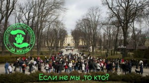 FAIR PLAY 2015. Марш за права животных!