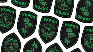 Statement from “Ukrainian patriots association UKROP” regarding the situation in Mukacheve