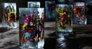 An exhibition of flowers frozen in the ice will take place in Kyiv