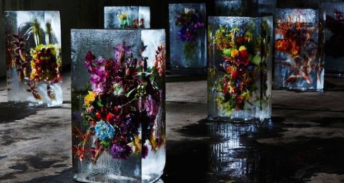 exhibition of flowers frozen in the ice in kyiv
