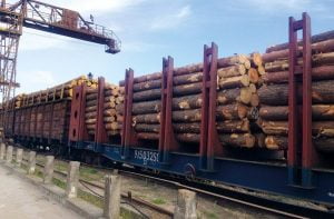 Ukraine wood exports to EU countries has grown
