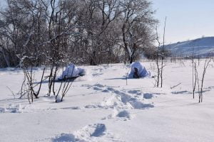 Russia – Ukraine war updates: daily briefings as of January 27, 2019