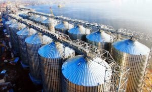 Ukrainian food producers name top five importers of the country’s agri-food