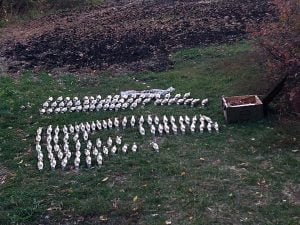 Russia – Ukraine war updates: daily briefings as of October 5, 2019