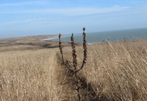 Russia – Ukraine war updates: daily briefings as of March 10, 2020