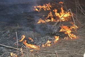 Russia – Ukraine war updates: daily briefings as of March 21, 2020
