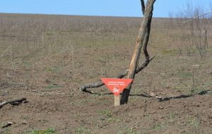 Russia – Ukraine war updates: daily briefings as of March 24, 2020