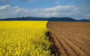 How much land does Ukraine have?