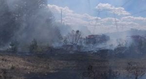 The fire in the Chornobyl zone increased its area to 250 acres