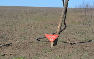 Russia – Ukraine war updates: daily briefings as of May 14, 2020