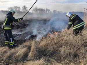 Russia – Ukraine war updates: daily briefings as of June 1, 2020