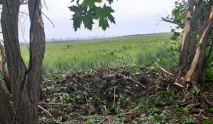 Russia – Ukraine war updates: daily briefings as of June 5, 2020