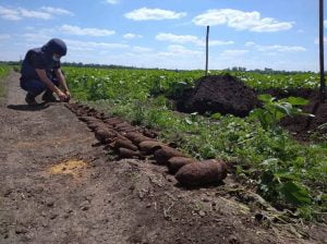 Russia – Ukraine war updates: daily briefings as of July 6, 2020