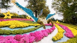 Independence Day Flower Exhibition