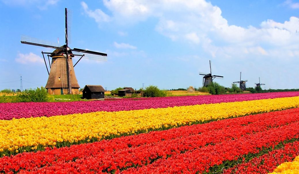 The Netherlands opens its borders to Ukrainians