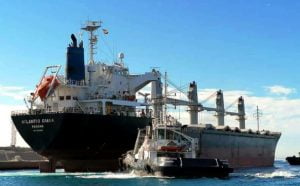 Does Turkey help Russia with looted grain from Ukraine?