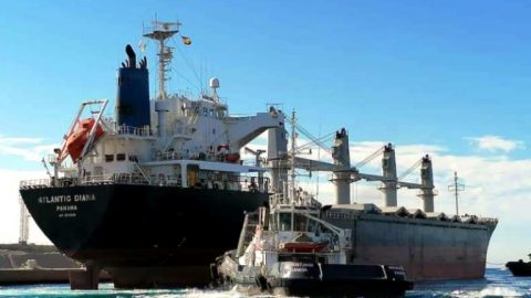 Does Turkey help Russia with looted grain from Ukraine?