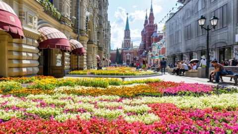 Dutch florists сlaim to stop russian weapons with tulips