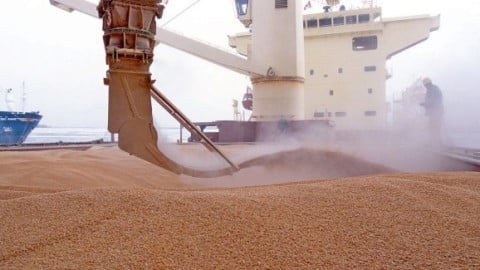 Ukraine's grain corridor analysis