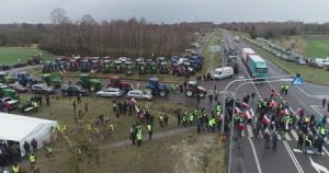 Polish double standards or why Russian and Belarusian grain is not blocked at the border?