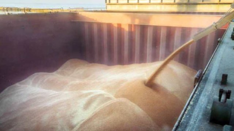 Romania plans to increase transit of Ukrainian grain via Danube corridor