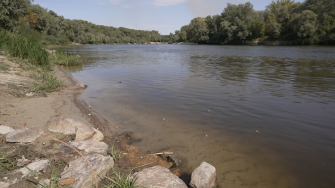 The release of contaminated water from a russian sugar factory into the Seym River has caused environmental damage in Ukraine